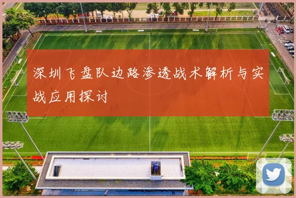 深圳飞盘队边路渗透战术解析与实战应用探讨