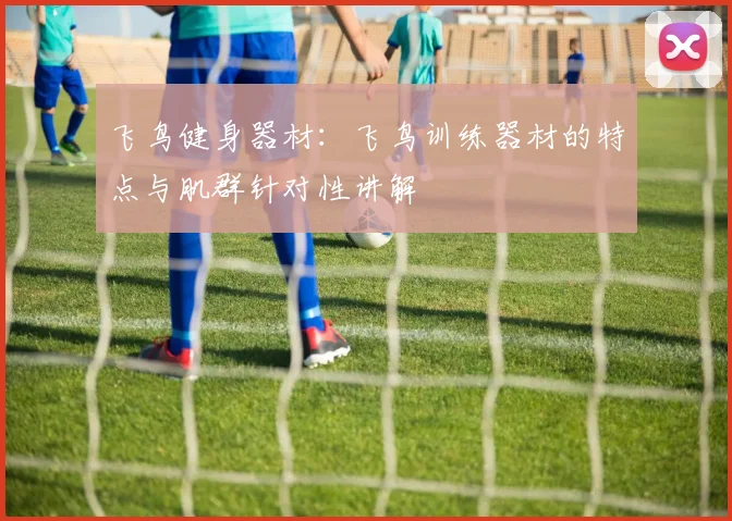 飞鸟健身器材：飞鸟训练器材的特点与肌群针对性讲解