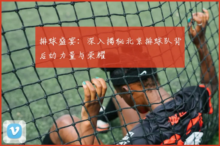 排球盛宴：深入揭秘北京排球队背后的力量与荣耀